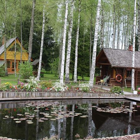 Holiday Home Berzlejas Upesgriva 외부 사진